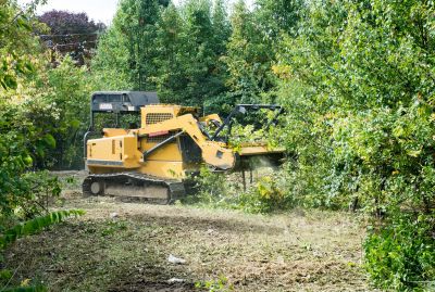 Acreage Clearing in Marietta, GA