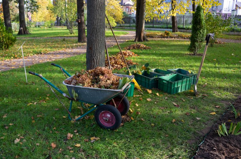 Brush Clearing Service in Marietta, GA