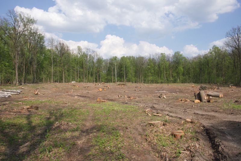 Farm Clearing in Atlanta, GA